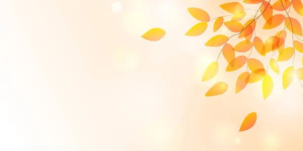 Sonbahar Yaprakları Manzarası Arkaplanını Bırakıyor