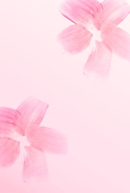 Kiraz Çiçekleri Japon Şablonu Gece Arkaplanı