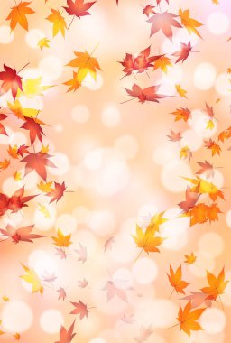 Sonbahar Akçaağaç Ağaç Yaprakları Sonbahar Arkaplanı