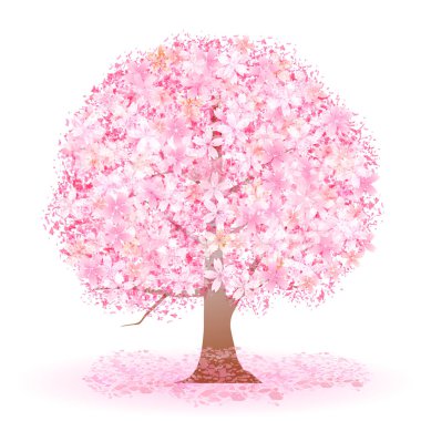 kiraz çiçeği bahar suluboya simgesi