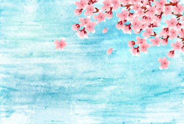 Kiraz Çiçekleri Japon desenli suluboya arka planı