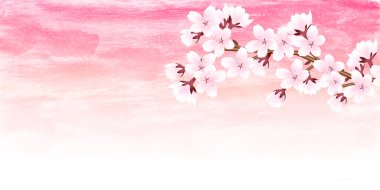 Kiraz Çiçekleri Japon desenli suluboya arka planı