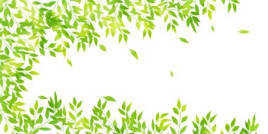 Taze yeşil yaprakları manzara arka plan