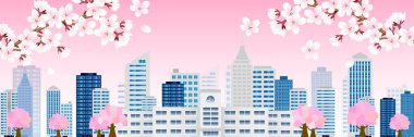 cherry blossom school building background