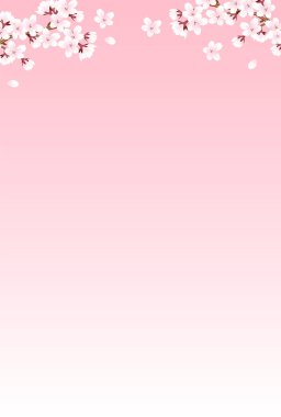 Kiraz Çiçekleri Japon desenli suluboya arka planı