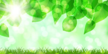 Taze yeşil yaprakları manzara arka plan