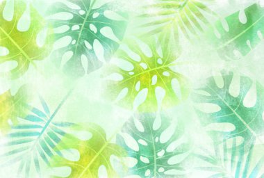 fresh green leaves houseplants background clipart