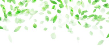 Taze yeşil yaprakları manzara arka plan