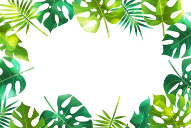 Taze yeşil yapraklı ev bitkileri