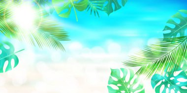 Taze yeşil yapraklı ev bitkileri