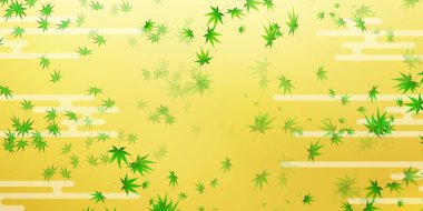 Taze yeşil akçaağaç yaprağı arka plan