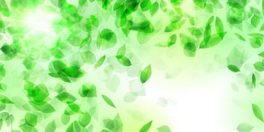 Taze yeşil yaprakları manzara arka plan