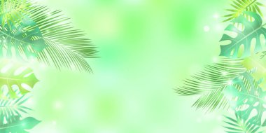 Taze yeşil yapraklı ev bitkileri