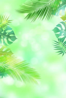 Taze yeşil yapraklı ev bitkileri