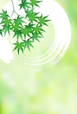 Taze yeşil akçaağaç yaprağı arka plan