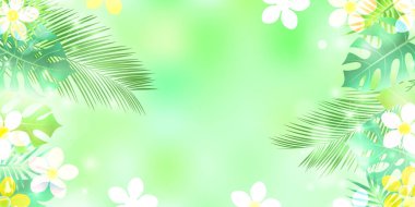 Palm Plumeria Evleri Arkaplanını Bırakıyor