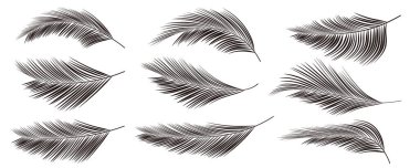 Palmiye yaprağı tropikal suluboya simgesi