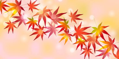 Sonbahar Akçaağaç Ağaç Yaprakları Sonbahar Arkaplanı