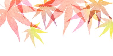 Sonbahar Akçaağaç Ağaç Yaprakları Sonbahar Arkaplanı