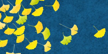 Güz yaprakları ginkgo sonbahar arkaplanı