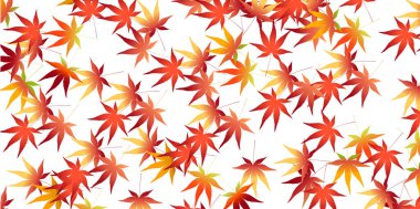 Sonbahar Akçaağaç Ağaç Yaprakları Sonbahar Arkaplanı