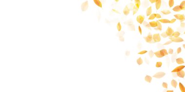 Sonbahar yaprakları arka planda kalır