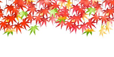 Sonbahar Akçaağaç Ağaç Yaprakları Sonbahar Arkaplanı