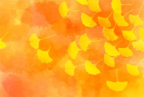 Güz yaprakları ginkgo sonbahar arkaplanı