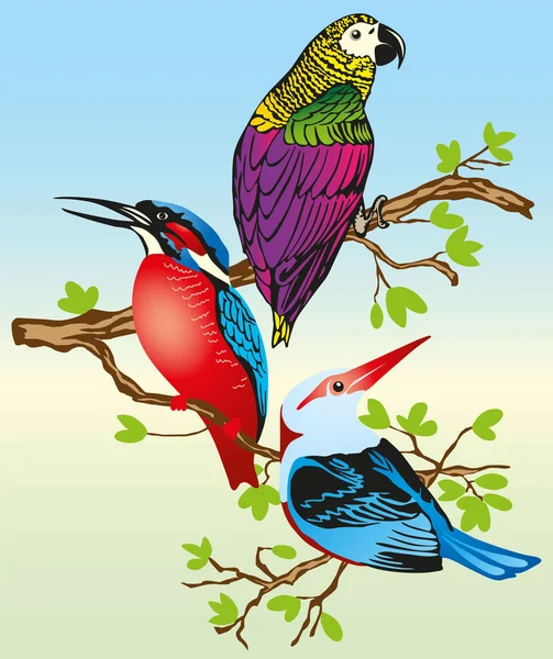 Schöne Bunte Vögel Sitzen Auf Einem Zweig Mit Blättern — Stockvektor