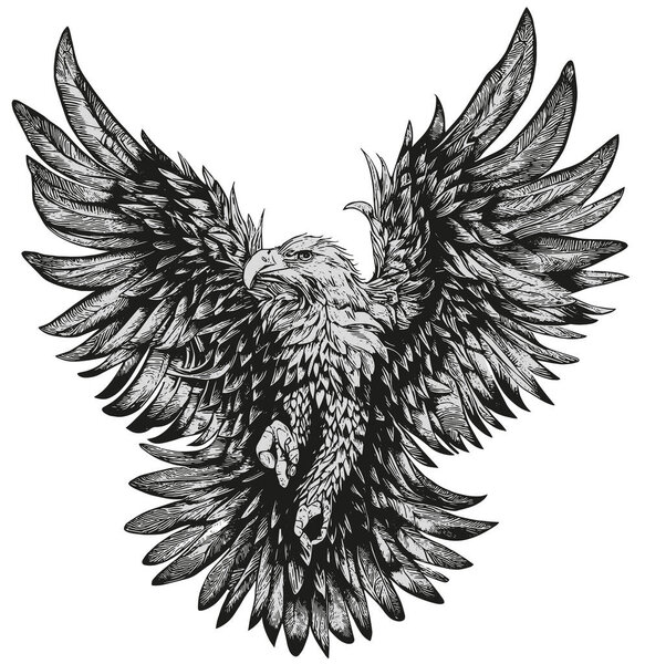 eagle with spread wings black on white detailed vector drawing