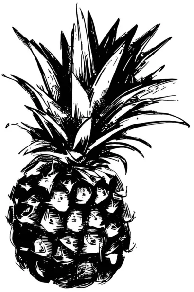 黒と白でパイナップルベクトル描画 — ストックベクタ