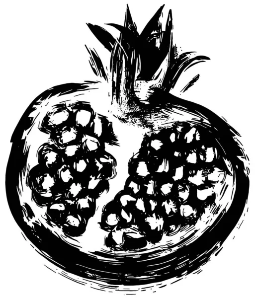 Pomegranate Vector Drawing Black White — Stock Vector