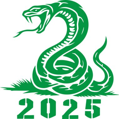 2025 'in orijinal tasarımı. Yılanlı ve efektli.