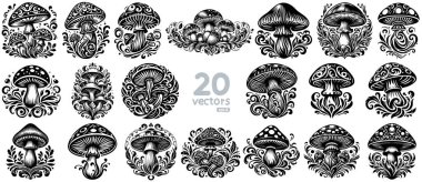 Ornamental vector illustrations of mushrooms in engraving style perfect for prints packaging and digital designs clipart