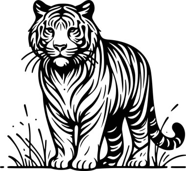 Detailed Illustration of a Tiger in Graphic Art Style for Versatile Use clipart