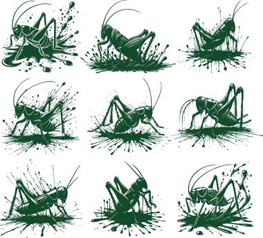 Dynamic Grasshopper Illustrations in Ink Splatter Art Style clipart