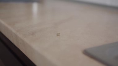 El beyaz bir kağıt havlu tutar ve onunla açık kahverengi bir masanın yüzeyinden bir evcil hayvanın, kuşun ve papağanın dışkılarını siler. Odanın yakınına.