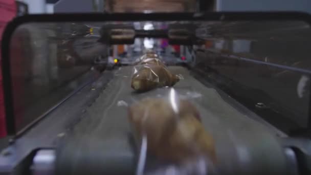 Close Fresh Freshly Baked Croissants Moving Forward Tunnel Packing Conveyor — Stock Video