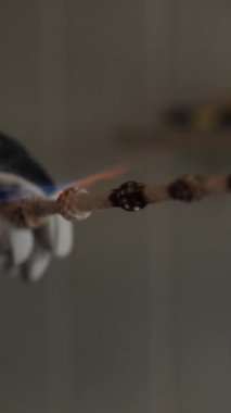 Ateş, ahşap şekilli bir ürünü yakar usta marangoz, yontulmuş sopayı işleyip koyu bir renk verir. Dikey çerçevenin yavaş çekimini kapat