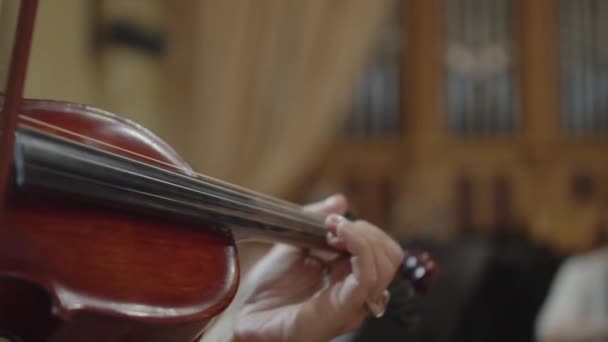 音乐家的手拿着小提琴 拉起琴弦 而其他人则把弓拉在小提琴上 在管弦乐队特写中演奏乐器 — 图库视频影像