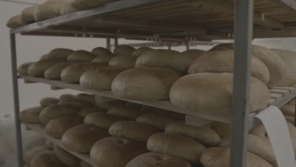 许多新鲜的 新鲜的烤面包放在旋转的架子上 面包店生产中成品的仓库 — 图库视频影像