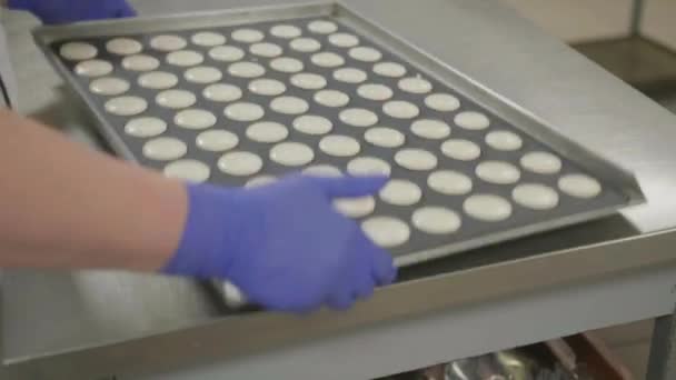 Mavi Eldivenli Bir Pasta Şefinin Elleri Bir Fırın Çarşafını Tutuyor — Stok video