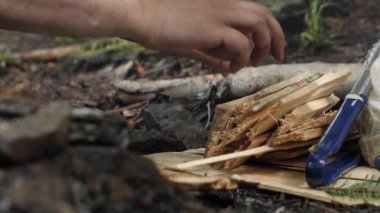 Bir adam, doğada yangın çıkarmak için yerdeki odun parçalarını ayırır. Yürüyüş koşullarında yangın çıkıyor, yavaş çekim.