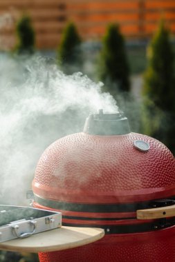 Duman, içinde bir şeyler pişirilen kırmızı taşınabilir mangal ızgarasının deliğinden çıkıyor. Piknik yemekleri, yakın çekim, dikey