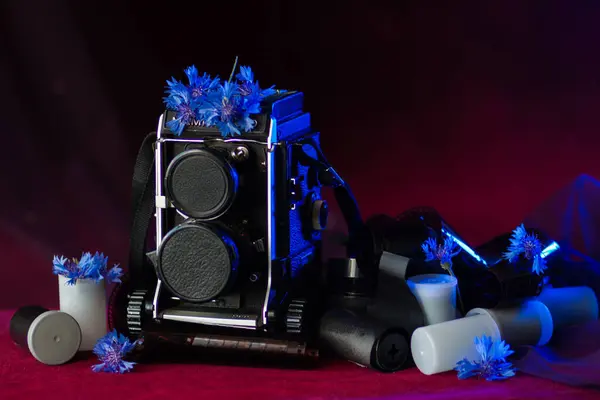 stock image Old vintage camera medium format lying among film films with blue flowers, cornflowers on top on red dark background with neon light. Picture for the International Photographers Day