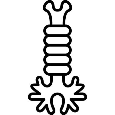 Omurga simgesi, dış hat biçimi