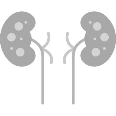 Böbrekli insan böbreği