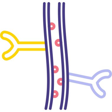 Bir insan anatomisinin vektör çizimi