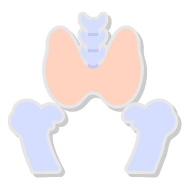 İnsan anatomisi. Beyaz arkaplan üzerinde illüstrasyon tasarımı
