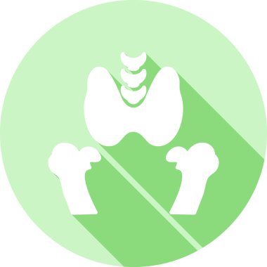 Pelvis Alanı web simgesi basit vektör illüstrasyonu